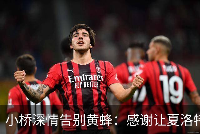 小桥深情告别黄蜂：感谢让夏洛特成为我的家 这里永远无可替代