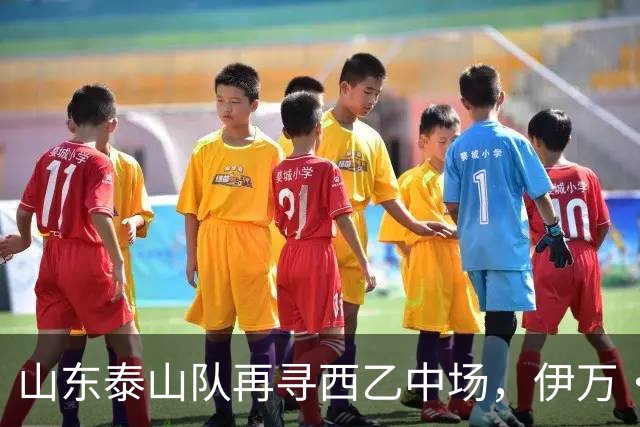 山东泰山队再寻西乙中场，伊万·莫兰特能否打破洛佩斯的魔咒？